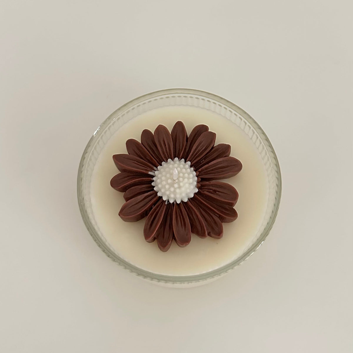 Chrysanthemum Glow