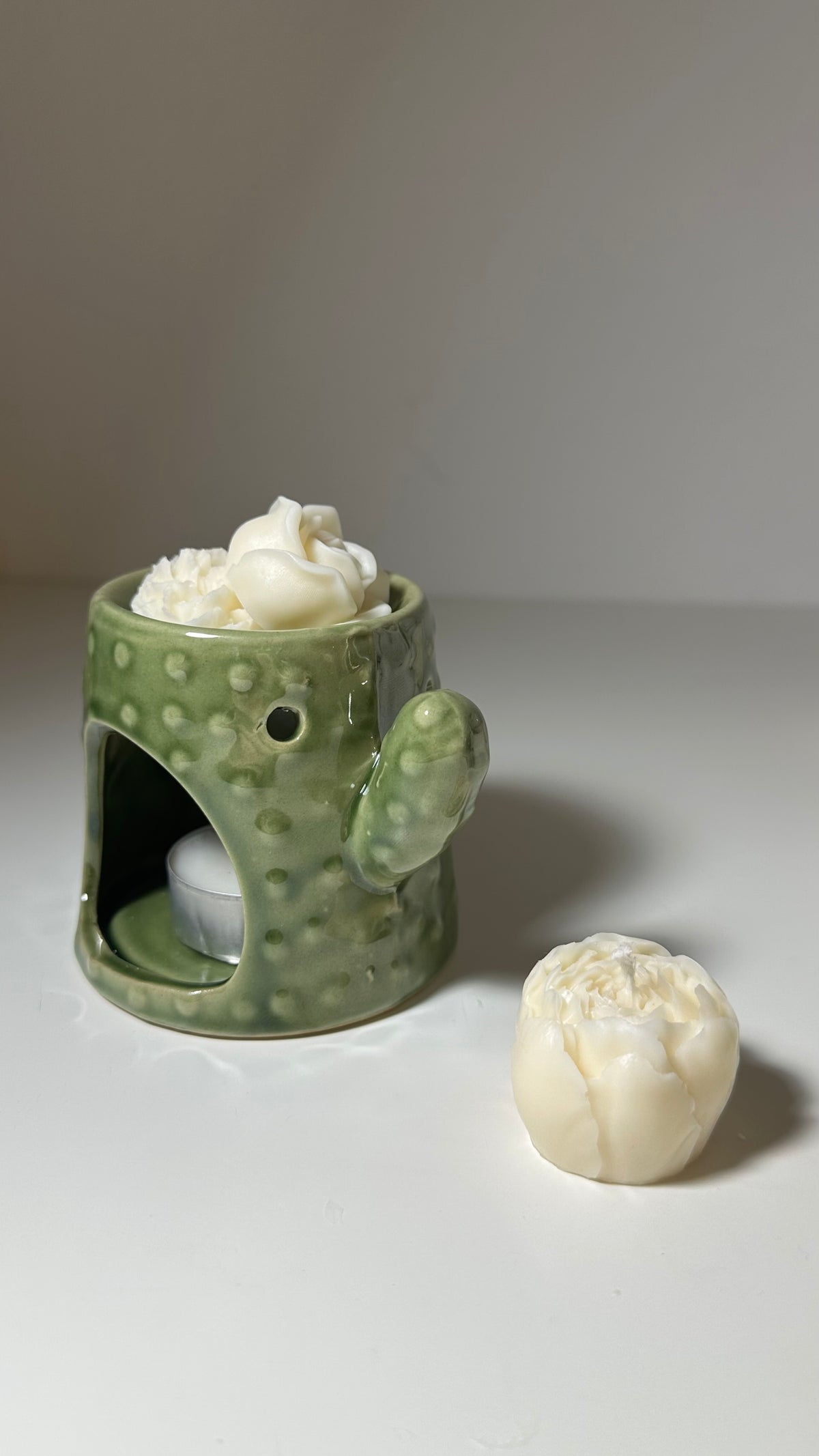Fragrance & Wax Melts