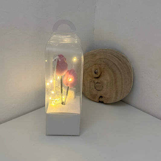 Tulip Illuminated