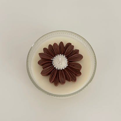 Chrysanthemum Glow