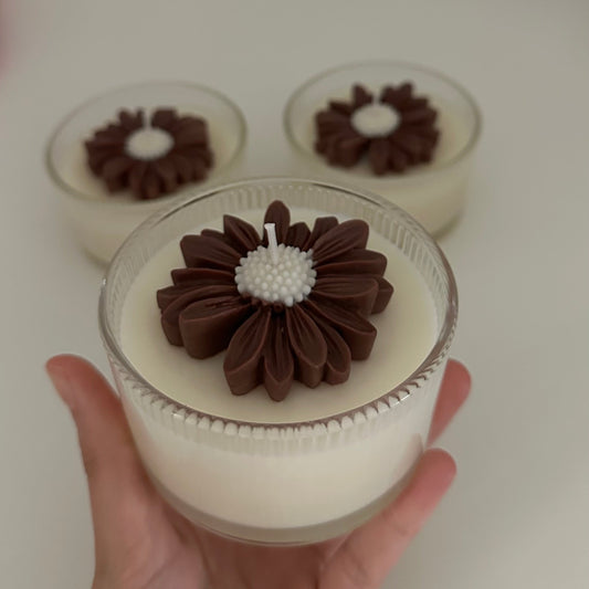Chrysanthemum Glow